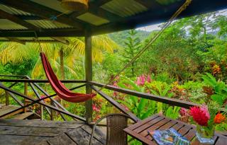 Hibiscus Valley Inn - Marigot - 1