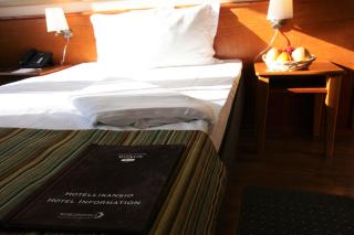 Skyline Airport Hotel - 3