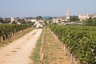 Les Clefs de Troplong Mondot - 9