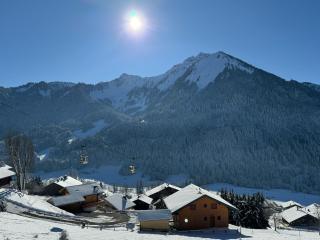 Charming, cosy chalet nestled in a breathtaking surrounding with spectacular, stunning mountain views - La Chapelle-dʼAbondance - 6