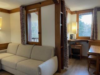 Studio cosy à deux pas des pistes avec balcon et casier à skis - FR-1-181-2482 - La Plagne Tarentaise - 9