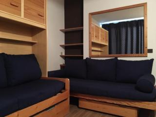 Studio cosy aux pieds des pistes avec vue Mont Blanc - FR-1-181-2607 - Aime-la-Plagne - 6