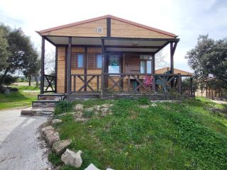 Camping El Picachuelo - El Berrueco - 0