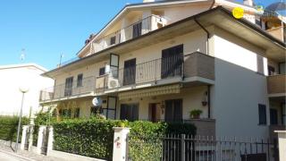 Ficus Plus - Pineto Vacanza - Pineto - 3