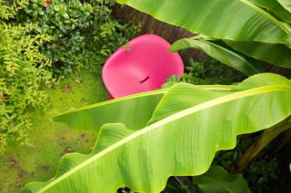 MAISON KERVARREC - Rennes - Saint-Grégoire - Saint-Grégoire - 9