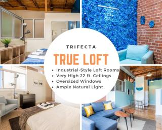 100 Year Old Historic Brick 2BR Loft High Ceiling3 - Durham - 3