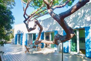 Villa Duna Blu - Baratti - 1