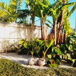 Mcgregor House - Villa by The Bay - 4