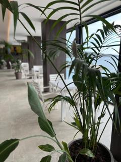 Joelle Premium Hotel - Sarandë - 1