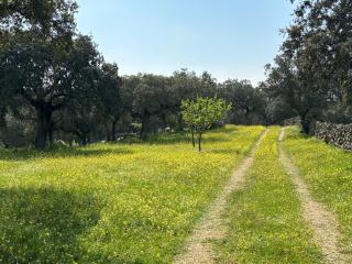 Finca Marowa - 1