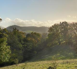 The shepherds hut at abberley glamping - 4