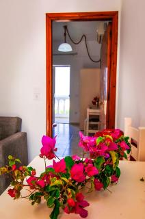 Irene Apartments - Karpathos - 2