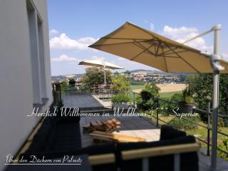 Waldhaus Pulsnitz - Pulsnitz - 0