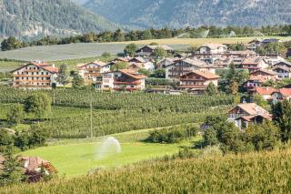 Tirolerhof Pension - Naz-Sciaves - 6