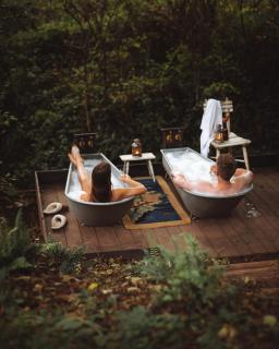 The cabin at Abberley Glamping - Abberley - 4