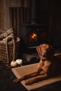 The cabin at Abberley Glamping - Abberley - 1