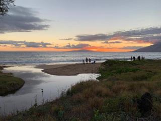 Hale Kamaole 117 - Wailea - 4