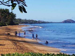 Hale Kamaole 133 - Wailea - 7