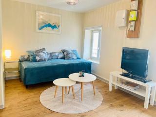 Studio Liberté en centre-ville - Bourgoin - 8