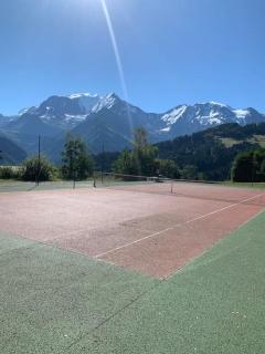 Turquoise 551 - Saint-Gervais-les-Bains - 6