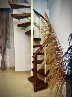 L'ospite Napoletano - 2