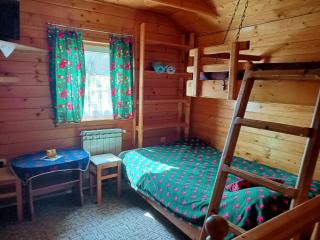 Mały domek pod lasem - Zakopane - 0