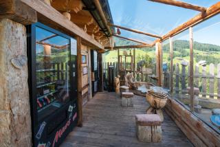 Apartmenthaus Rosenhof - Alpbach - 7