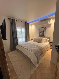 COSY CROISETTE CANNES CENTRE VILLE RUE D'Antibes - Cannes - 9