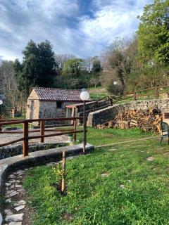 La casa nel bosco - Mattinata - 0