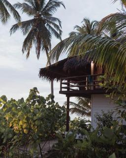 Kaini Mentawai - Surf Resort - 8