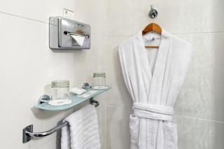 Best Western Le Vinci Loire Valley - 5