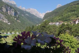 Garnì Lago Alpino - Molveno - 6