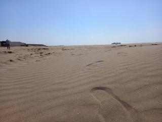 Les terrasses de la plage 255, T3 bien équipé, wifi, parking - 8