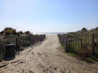 Les terrasses de la plage 255, T3 bien équipé, wifi, parking - 7