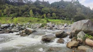 susurros del río - 9