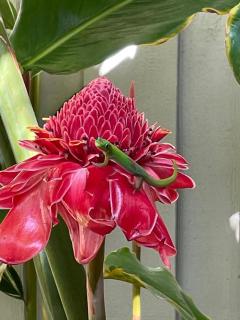 Hale Kamaole 206 - 4