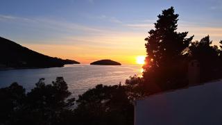 Zen's Garden - Vela Luka (Vallegrande) - 0