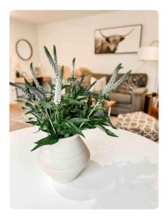 Southern Comfort - Hot tub - Modern - Relaxing - 6