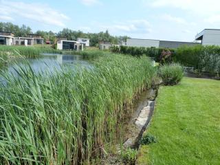 55 by the Water - Olburgen - 8