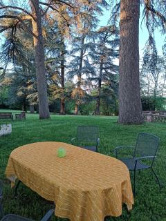 Le Jardin Des Cèdres - 1