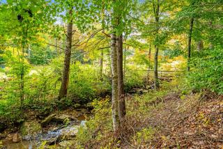 Bee Branch 35 - Sugar Mountain - 6
