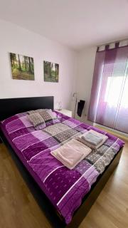 Zentrale 4-Zimmer-Wohnung in Sirnach - Sirnach - 3