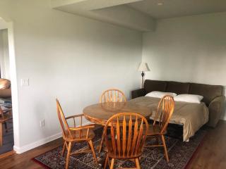 2 Bedroom Suite: Views, Private Entrance, EVchgr - Amity - 4