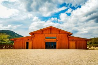 Lorrayne Ranch - Palomino, Roan, Sorrel, & Buckskin - Guffey - 6