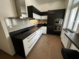 Apartment Karla Capka Street - 3