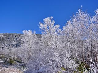 Kidoike Onsen Hotel - Yamanouchi - 4
