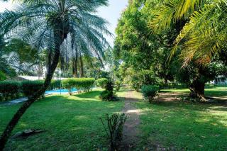 Casa Luna Azul - La Ceiba - 4