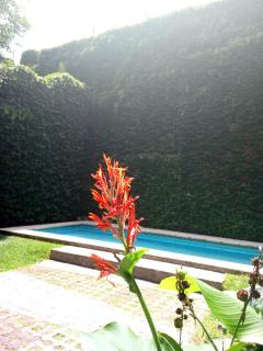 Donde el alma sonrie AHI ES piscina jardin facil acceso por Avda 9 de Julio - 7
