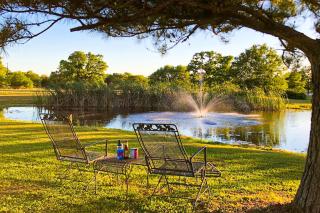 Cupid - Reindeer Ranch at Round Top - Carmine - 9
