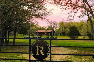 Cupid - Reindeer Ranch at Round Top - Carmine - 5